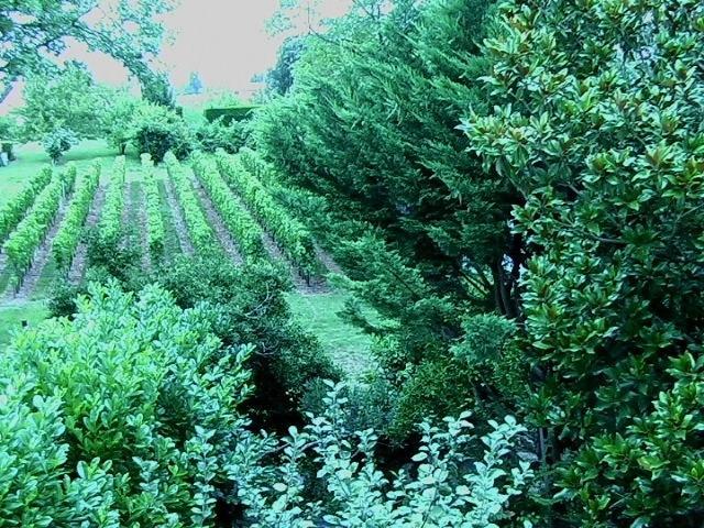 Les Id De Saint Emilion Bed & Breakfast Dış mekan fotoğraf